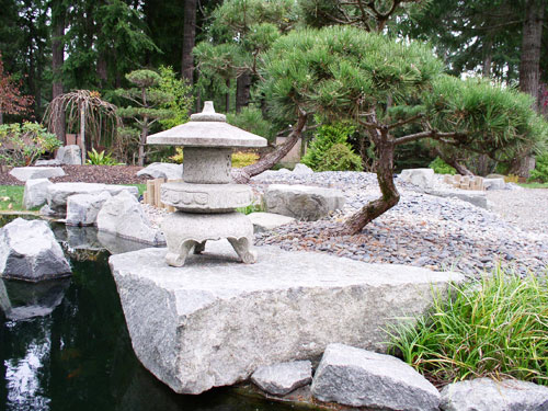 有机农药Courtyard landscape pine tree
