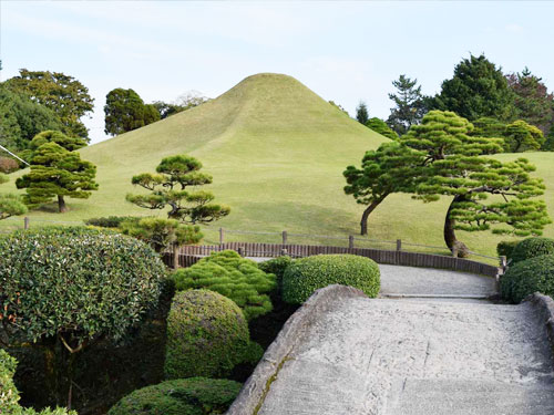 有机农药Sculpted plaza pine tree