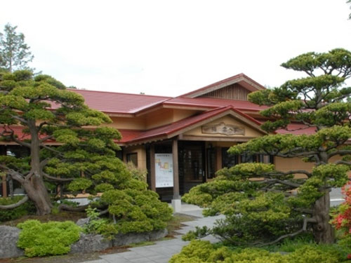 有机农药Courtyard landscape pine tree
