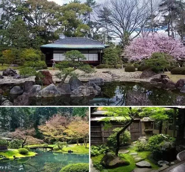 Pine Trees Create a Magical Zen Landscape: An Appreciation of Pine Tree Landscape Gardens