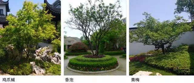 禅意景观就是辣么神奇！_16