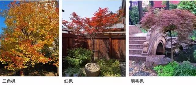 禅意景观就是辣么神奇！_18