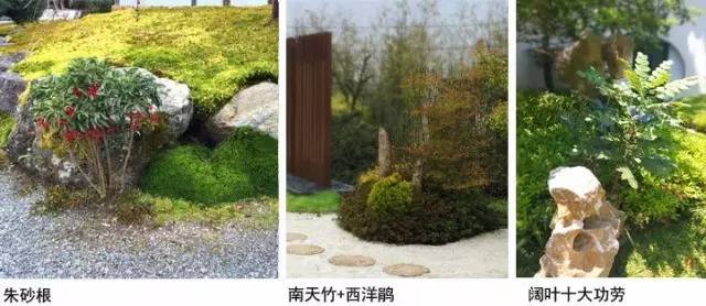 禅意景观就是辣么神奇！_20