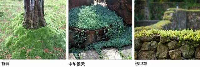 禅意景观就是辣么神奇！_21