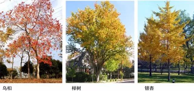 禅意景观就是辣么神奇！_17
