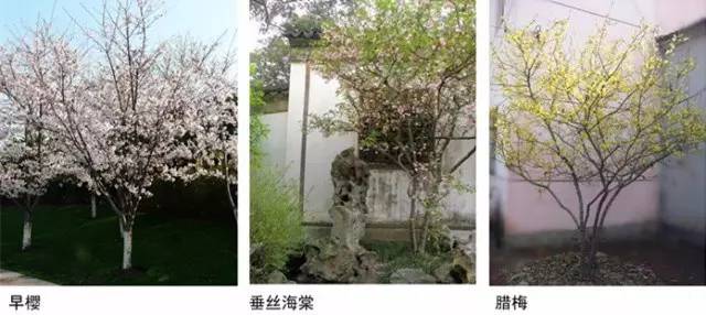 禅意景观就是辣么神奇！_19